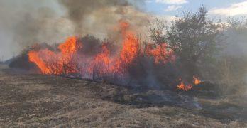 Пожарът край Свиленград премина магистрала „Марица“, предизвиква катастрофа