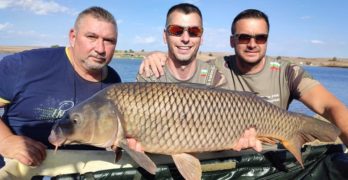 Свиленградски ловци на шарани оставиха язовир „Прогрес“ без риба