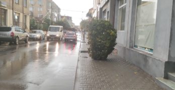 Забелязано в Свиленград: След дъжда /снимки/