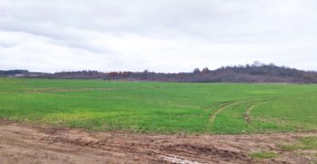 Продава се земеделска земя в Свиленград