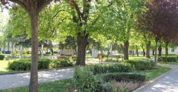 В Свиленград започна годишната обработка на обществените зелени площи срещу кърлежи, бълхи и комари