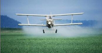 В Свиленград ще се пръска с авиационна техника срещу комари в периода 2-10 юли