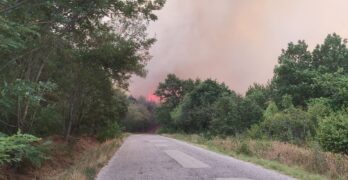 Пожар гори до свиленградското село Студена. Пътят е затворен