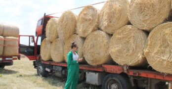 Общо 34 тона слама помощ за животновъдите са доставени от община Свиленград в три села, засегнати от пожарите