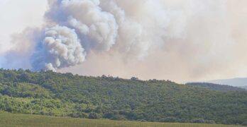 Гори между Младиново, общ. Свиленград и Дрипчево, общ. Харманли