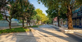Две третирания на зелени площи срещу кърлежи и комари извърши общината през пролетния сезон