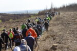 Над 300 свиленградчани се включиха в залесяването на 40 дка край село Студена /снимки/