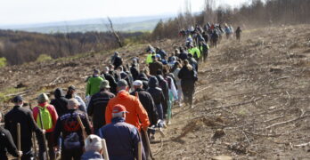Над 300 свиленградчани се включиха в залесяването на 40 дка край село Студена /снимки/