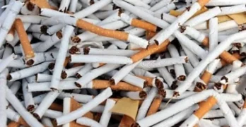Свиленградските полицаи иззеха цигари без бандерол на АМ „Марица“