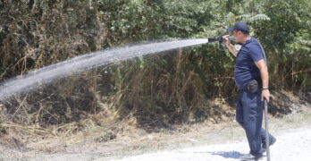 Светкавични действия на свиленградските пожарникари спасиха житна нива до Димитровче /снимки, видео/