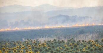 Забранено е паленето на огън от 10 юни до 31 октомври до посевите в Хасковска област