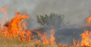 Пожар край Васково, върви към свиленградските села Младиново и Пъстрогор