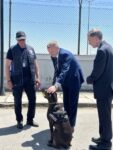 Една от най-ценните придобивки за Агенция „Митници“ е митническото куче Адел, което работи на МП „Капитан Андреево“
