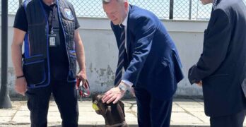 Една от най-ценните придобивки за Агенция „Митници“ е митническото куче Адел, което работи на МП „Капитан Андреево“