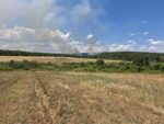 В Свиленградско отново тръгна голям пожар и пак гори борова гора в Сакар