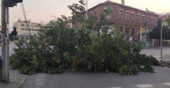 Внимание: В Свиленград падна дърво и затвори централно кръстовище /допълнена с видео/