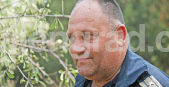 Вчерашният пожар изпепели 1 000 дка в Сакар, огнеборците спасиха много пъти по толкова гори