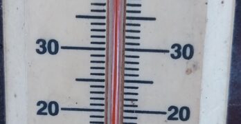 Забелязано в Свиленград: Подмина 40 градуса /снимка/