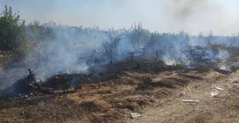 Голям пожар пламна край Свиленград, гори в района на Мумнево