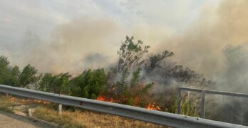 130 пожара са възникнали в страната за изминалото денонощие