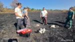 Пожарът в Сакар уби десетки щъркели и костенурки