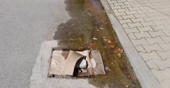 В Свиленград вода извира от асфалта, вече няколко дни