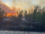 Пожарът в община Свиленград вече е обхванал 5 000 декара, утре се включват и военните