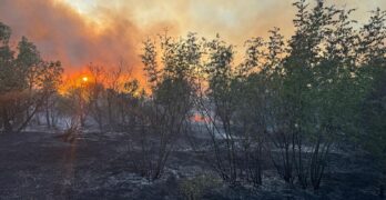 В Свиленград пак е обявено частично бедствено положение, гори Сакар