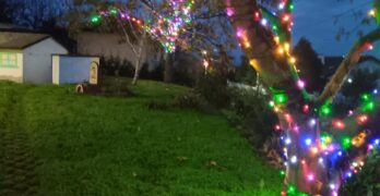 Забелязано в Мезек: Свиленградското село грейна в празнична украса /снимки/