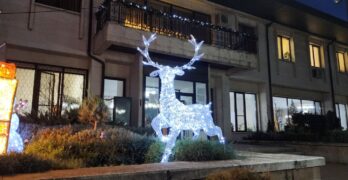 Забелязано в Свиленград: Тази нощ …