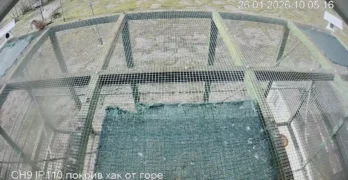 Легендарната белошипа ветрушка KZ се завърна от миграция в с. Левка, община Свиленград