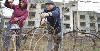 Арх. Анастас Карчев, кмет на Свиленград, заряза лозето в масив на „Лозаро-винари от Сакар“ край „Малката звезда“
