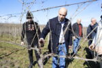Архитект Анастас Карчев заряза лозето в село Димитровче, адвокат Георги Еленков стана новия цар на лозето