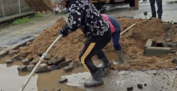 Огромен плъх задръсти градска канализация, вадят го след няколко часа работа