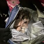 Митничарите на Капитан Андреево откриха 220 000 евро скрити под шоколадови изделия /видео/