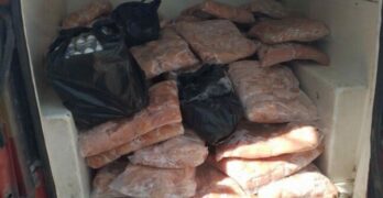 В Свиленград иззеха 600 кг храни -пилешко месо, сирене, яйца, от автомобил