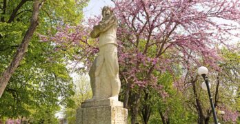 Забелязано в Свиленград: В градския парк/снимки/