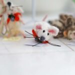 „Светли спомени в сънища“ са експонирани в свиленградската арт галерия на прага на Великденските празници