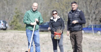 Служители на администрацията и горското стопанство залесиха 3 000 фиданки летен дъб край Мезек, община Свиленград