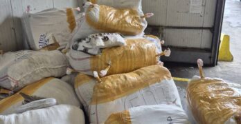 Митничарите от МП „Капитан Андреево“ задържаха 30 000 „маркови“ стоки