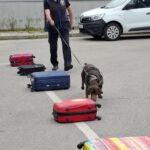 Николай Шушков и Стивън Даути присъстваха на демонстрация на митническа проверка