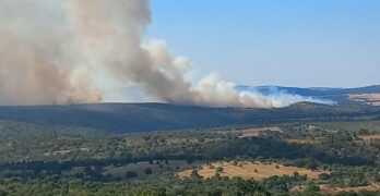Подпалиха камиони и комбайн на предприемач в Райкова могила, община Свиленград?