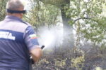 Червен код за опасност от пожари в Хасковска област