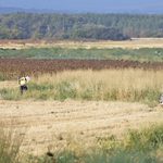 12 бежанци от центъра в Пъстрогор са избягали, 8 вече са задържани в околностите на Свиленград