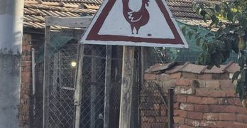 Забелязано в село Димитровче, община Свиленград: Въведен е нов пътен знак за шофиращите в селото