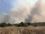 Продължава овладяването на пожара, възникнал в района на Динево и Любеново, Хасковско