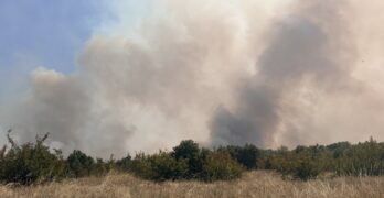 Продължава овладяването на пожара, възникнал в района на Динево и Любеново, Хасковско