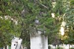 Забелязано в Свиленград: Покрити в дебрите на историята /снимки/