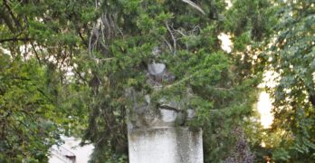Забелязано в Свиленград: Покрити в дебрите на историята/снимки/