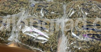 „Митници“-те изгориха над 2 тона марихуана, над 80% са били задържани на „Капитан Андреево“ и „Лесово“